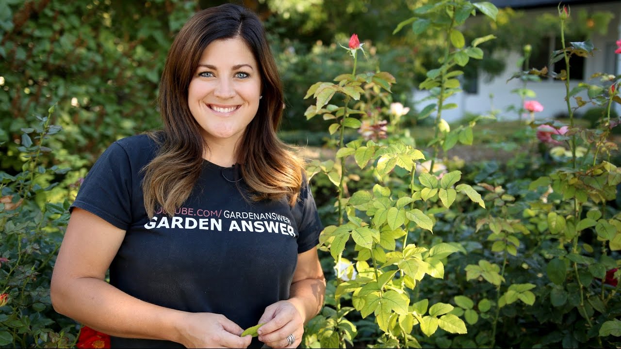 Laura LeBoutillier: The Green Muse behind the Success of Garden Answer - The Country Barn